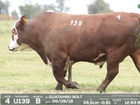 Lote 04