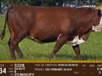 Lote 134
