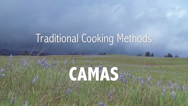 Traditional Cooking Methods: Camas
