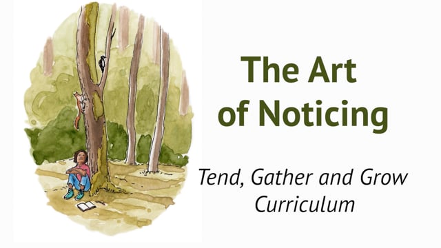 The Art of Noticing