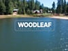 23 YL Woodleaf March Campaign Video Update.mp4