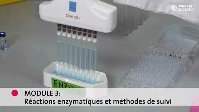 Pratique De Laboratoire On Vimeo