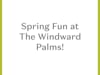 Spring Fun at Windward Palms!