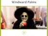 Fall Fun at Windward Palms!