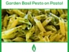 Transformed Culinary Solutions - Fresh Picked Garden Basil Pesto!