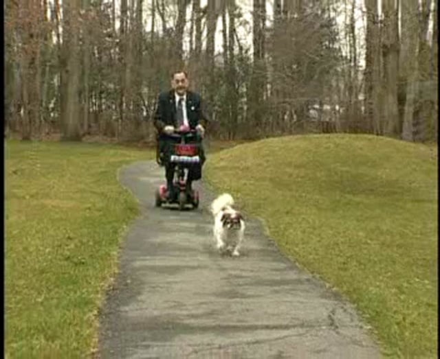 Pet Therapy TV Segment