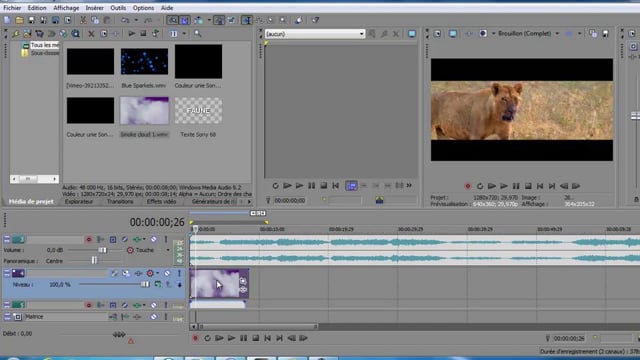 Sony Vegas Pro Tutorials On Vimeo