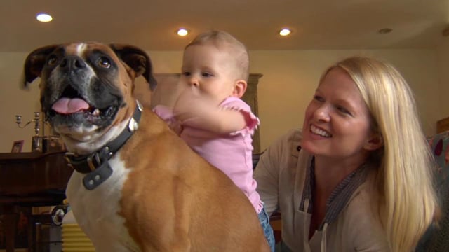 Care.com - Customer Success Story