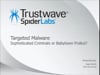 Josh Grunzweig & Ryan Merritt - Targeted Malware Attacks ­ Sophisticated Criminals or Babytown Frolics - SecTor 2012