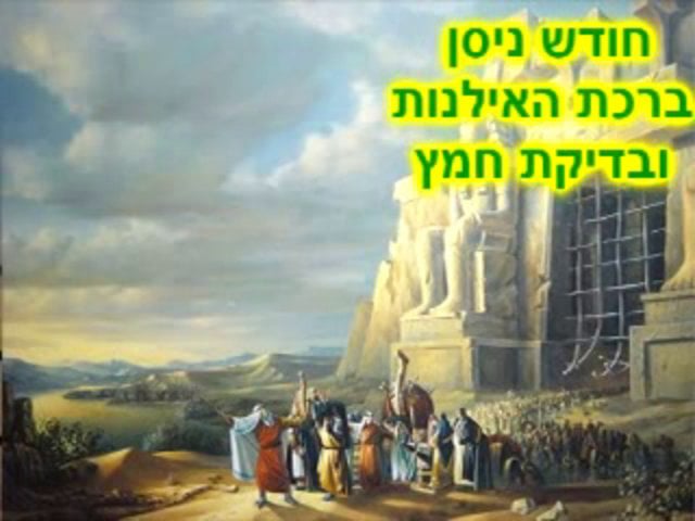 חודש ניסן, ברכת האילנות ובדיקת חמץ- הרב בועז שלום