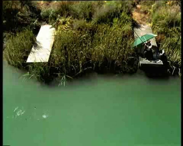 Energi - Customer Case Study