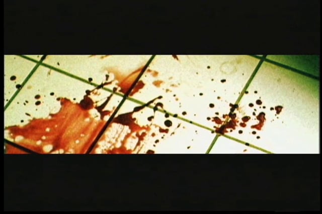 BLOOD FURY - TRAILER