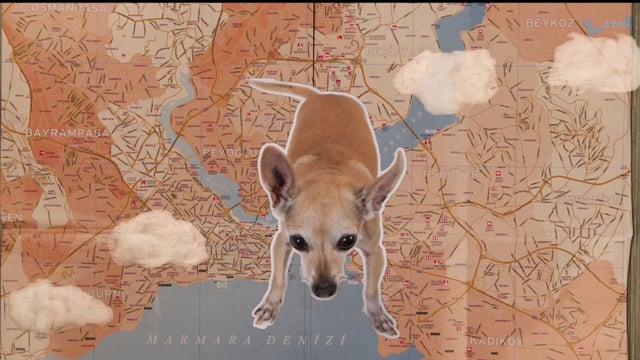 Emel Kurhans Istanbul & Paris Guide Promotion 2013