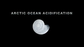 Arctic Ocean Acidification (2013) (full version)