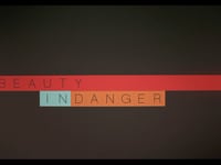 {MK12 Beauty In Danger