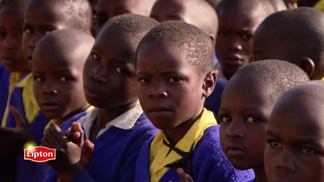 LIPTON - KENIA - RAINFOREST ALLIANCE - SCHOOLS at the Kericho Tea Gardens