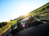 Rules of the Wine Road