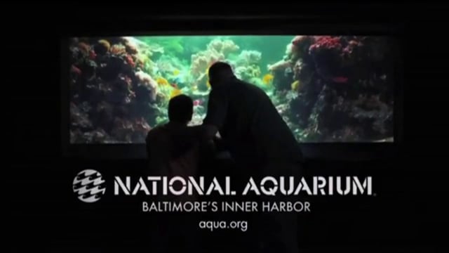 National Aquarium "Father and Son" TV Commercial