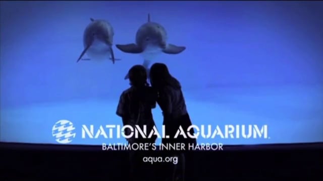 National Aquarium "Brother and Sister" TV Commercial