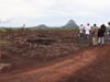 N2Africa Farmer, Mozambique -  Marcelino Pedro