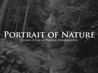 Portrait of Nature -Myriads of Gods on Platinum Palladium Prints-（Trailer）