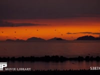 夕焼けとカモメの群れ 瀬戸内海の夕暮れ風景　60fps　サンプル動画は30fps