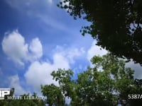 青空と雲の微速度撮影 木の間から見上げた空