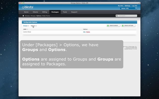 Blesta v3.1: Configurable Options