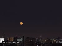 満月　月の出 サンプル動画は80倍速　元動画は29分36秒
