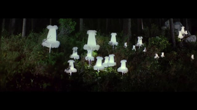 IKEA - Customer Case Study