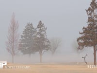 霧が晴れる 3月18日河川の霧が晴れていく様子　サンプル動画は5倍速　元動画は1分55秒