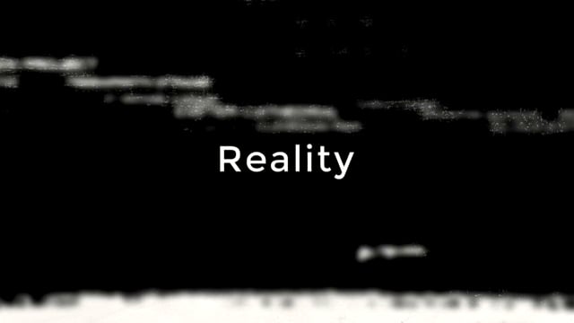 Pigeons - Reality