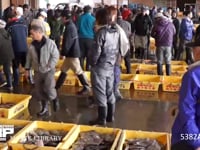 銚子漁港 魚市場