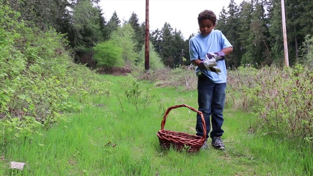 Nettles: Generations of Traditional Knowledge Video