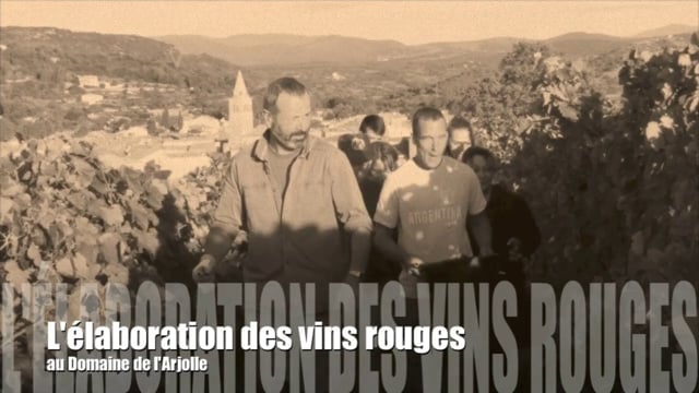 L'élaboration des vins rouges au Domaine de l'Arjolle