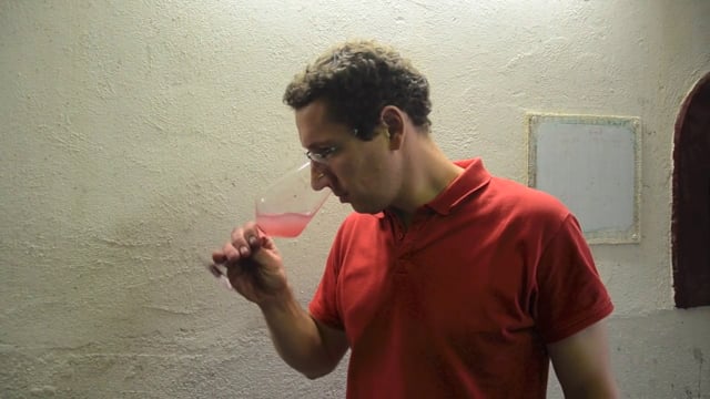 L'élaboration des vins rosés au Domaine de l'Arjolle