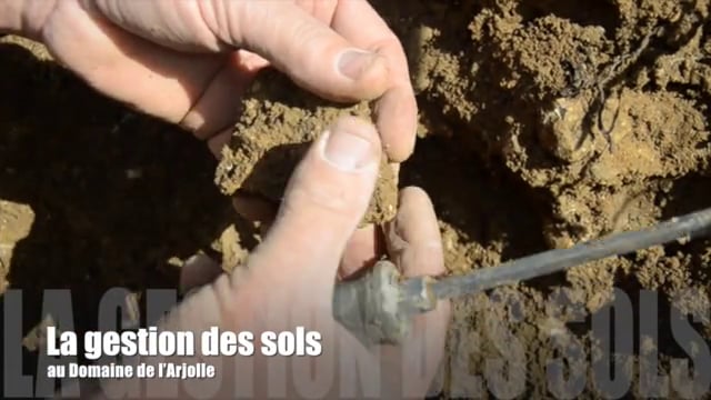 La gestion des sols au Domaine de l'Arjolle