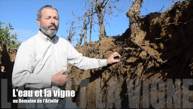 La disponibilité de l'eau pour la vigne - Domaine de l'Arjolle