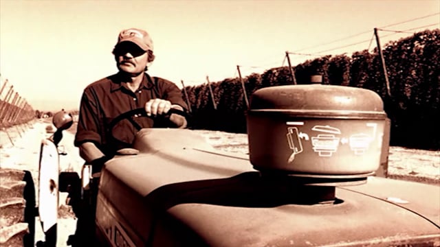 Banner Bank - Customer Success Story