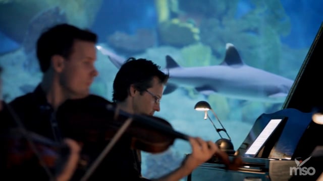 MSO Secret Symphony inside the Melbourne Aquarium