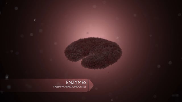 Enzyme - Look/Feel
