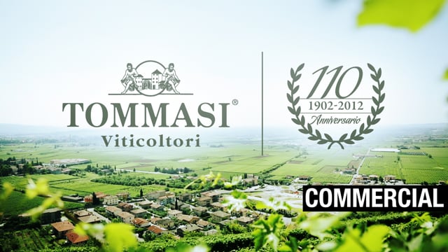 Tommasi Wines