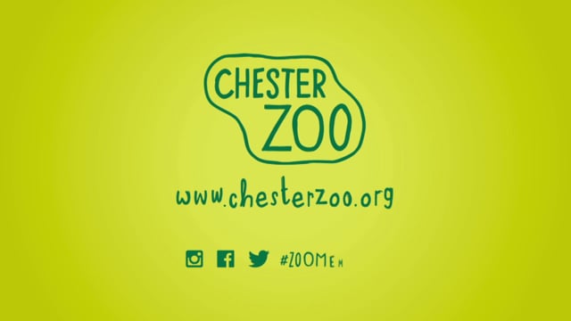 Chester Zoo - Customer Success Story