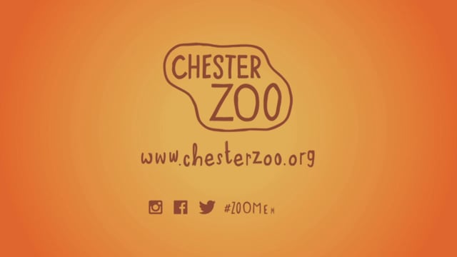 Chester Zoo - Customer Success Story