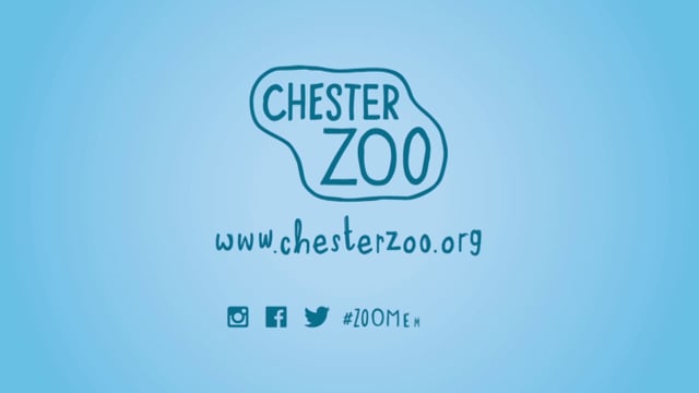 Chester Zoo - Customer Success Story