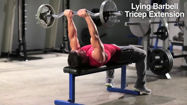 How To Do Barbell Lying Triceps Extension Muscles Worked Proper Form