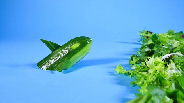 Florette - Customer Success Story