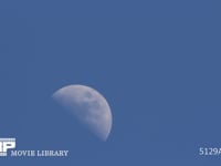 上弦の月　月の動く様子 昼間見える月　昇っていく様子　旅客機が通過
