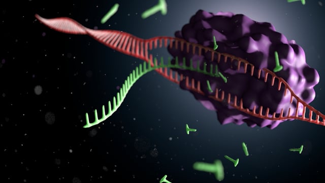 Balchem - "Transcription" : Making mRNA