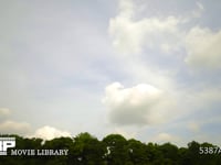 東京　皇居の森と雲の動き　微速度撮影　4K 皇居桜田門付近での撮影